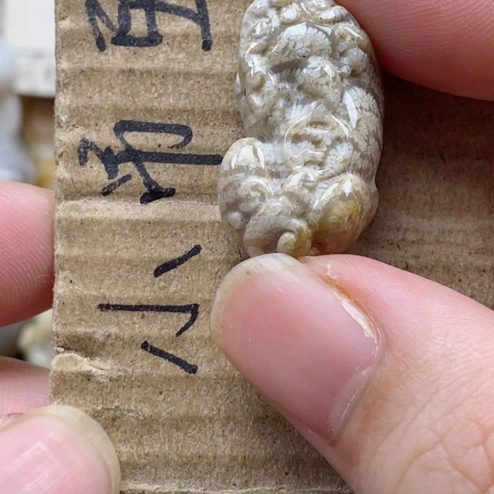 颈饰未镶嵌硅化珊瑚（珊瑚玉）莫*