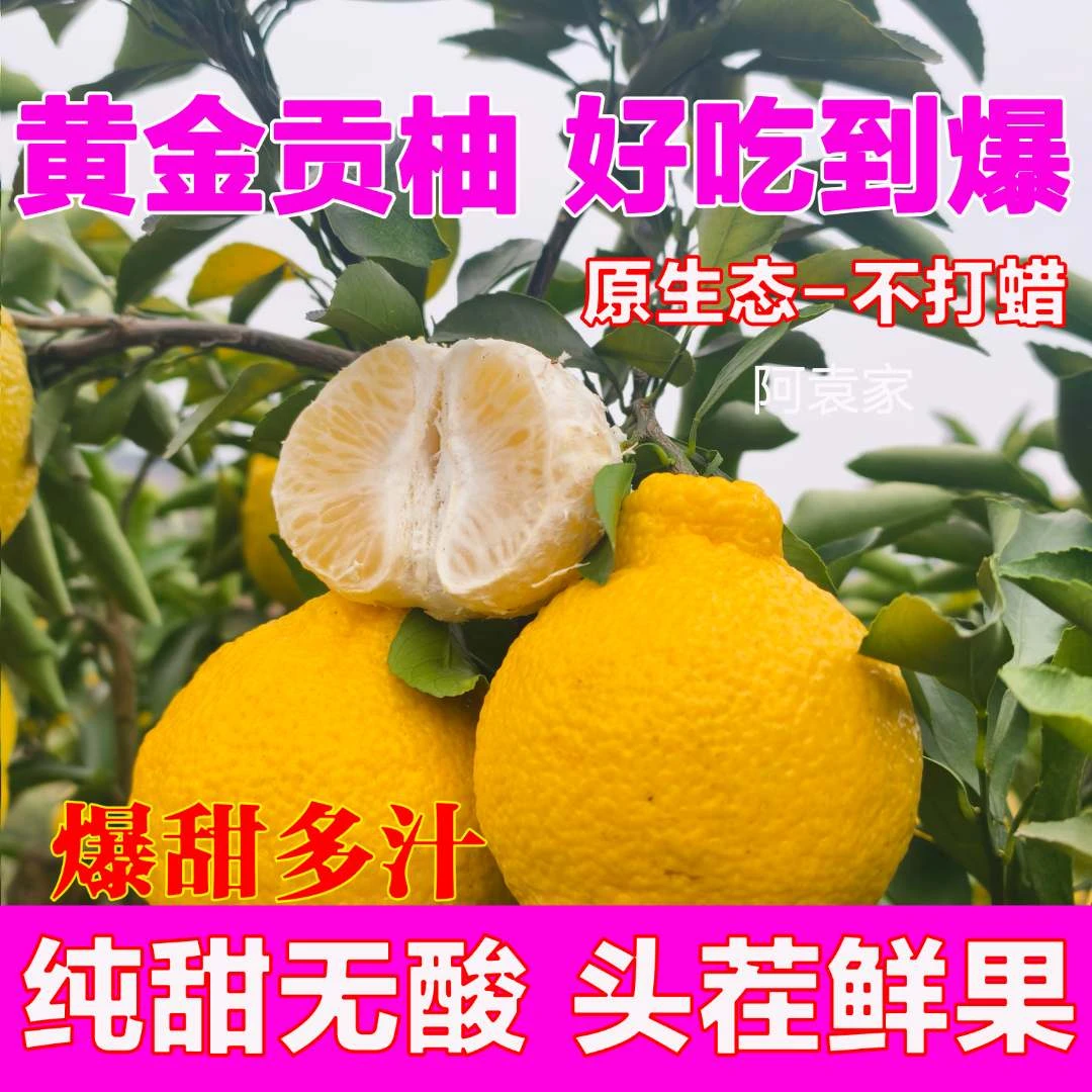 湖南岩垅黄金贡柚正宗怀化象山青清甜无酸当季新鲜水果柑橘柚子金