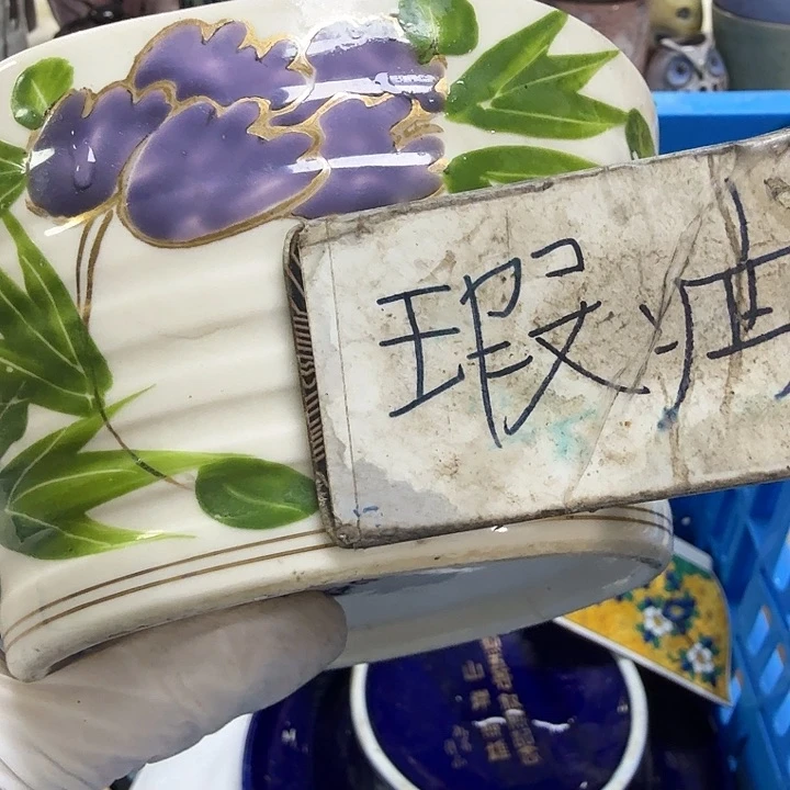 瓷片薇*开播啦…开播啦