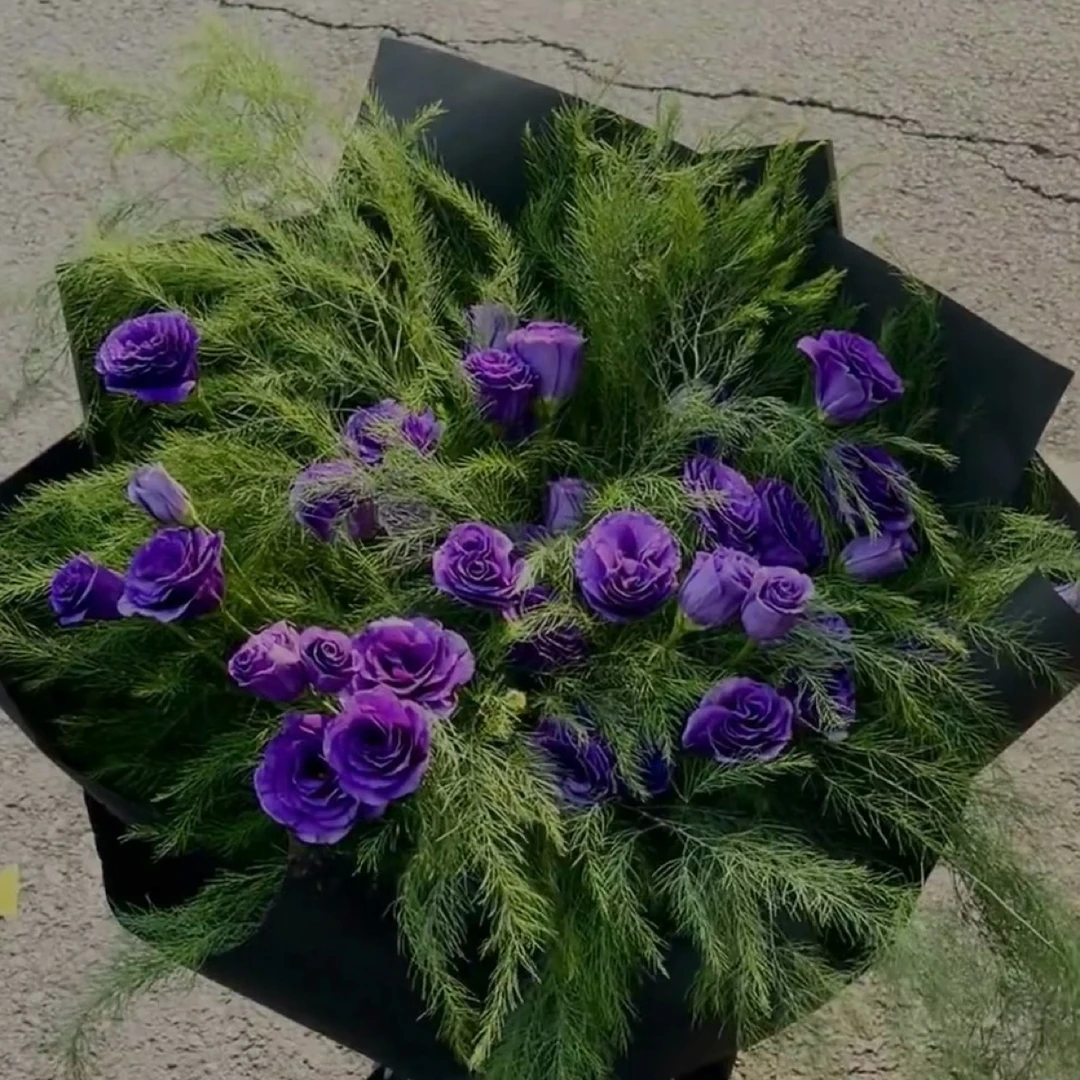 紫色桔梗花束 鲜切花1单包邮 送包装