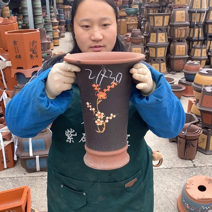 紫砂花盆盆栽花卉苗木种植