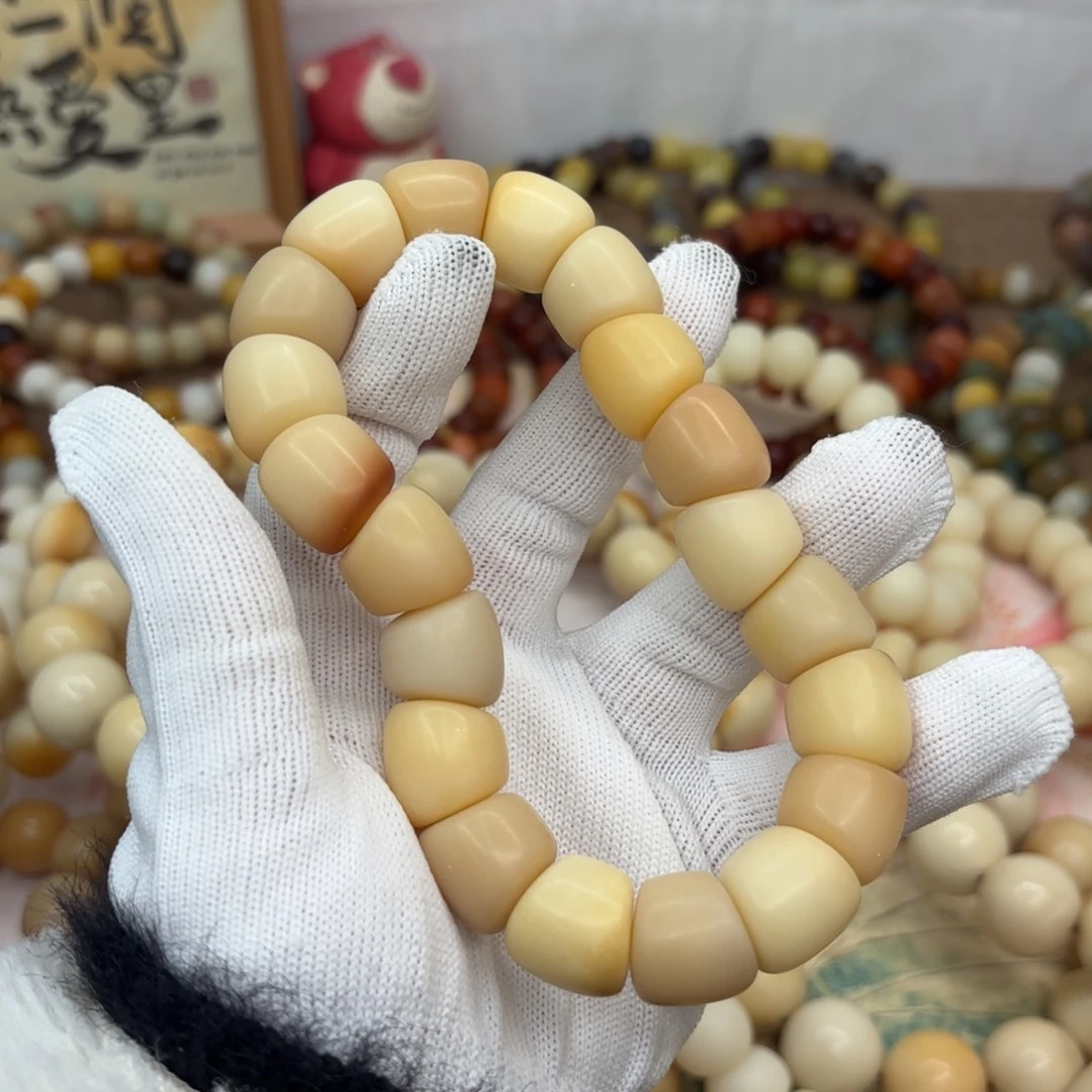 吊坠菩提根/象牙果16干磨瑕疵落地果肠796