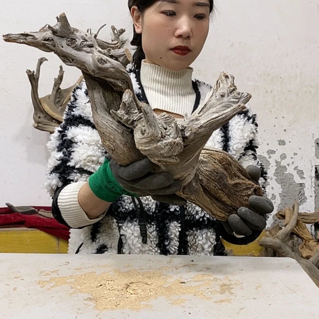 【闪购商品】柏木大*我们都是好孩子