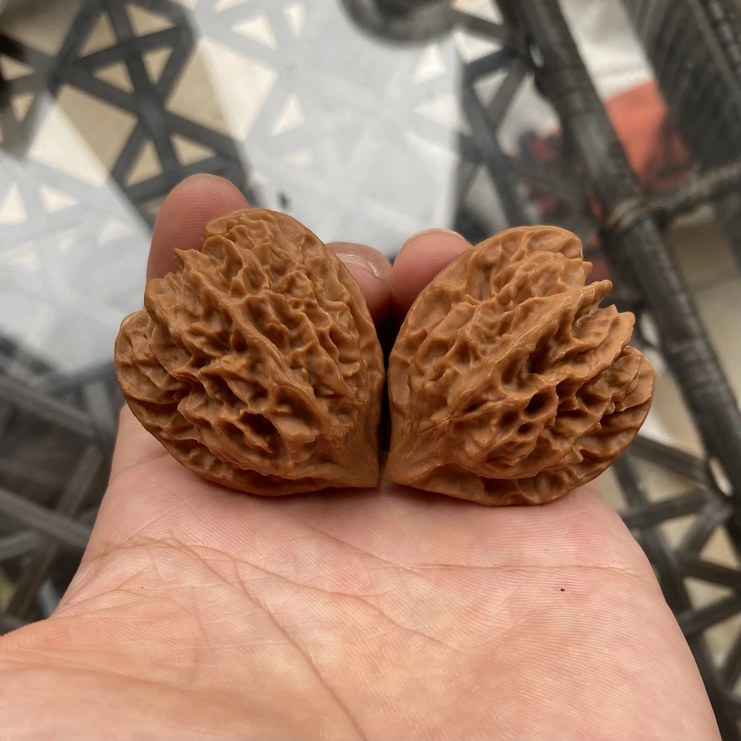 曹大龙，37尺寸全品无修高桩深凹底，非常个性霸气，一物一图九号龙