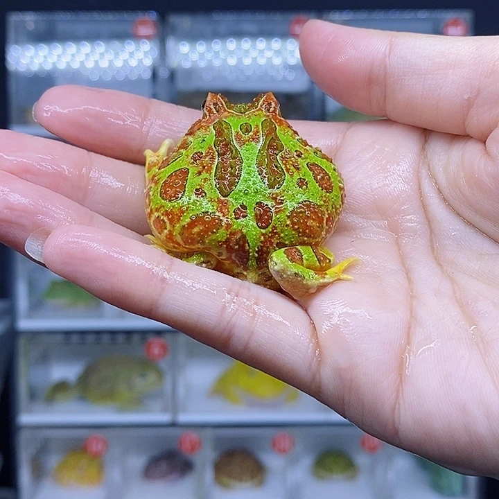 特价秒杀现货特价残