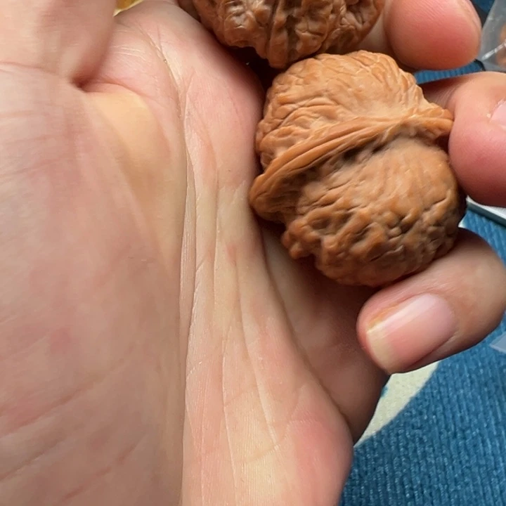 北***星吊坠桃核雪麒麟41