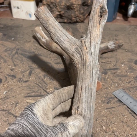 大果紫檀（缅甸花梨）道**然