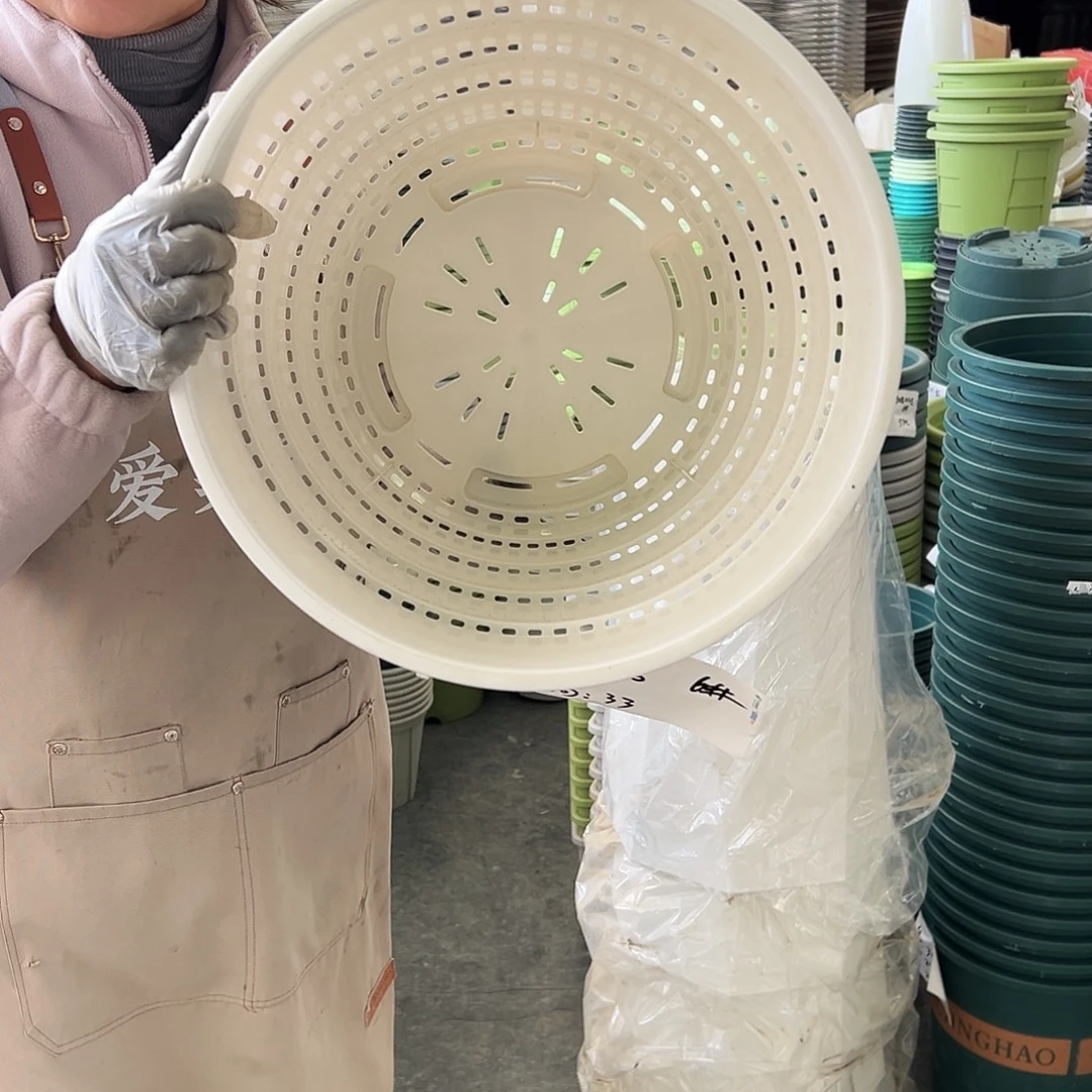 多孔6#白色3个无托