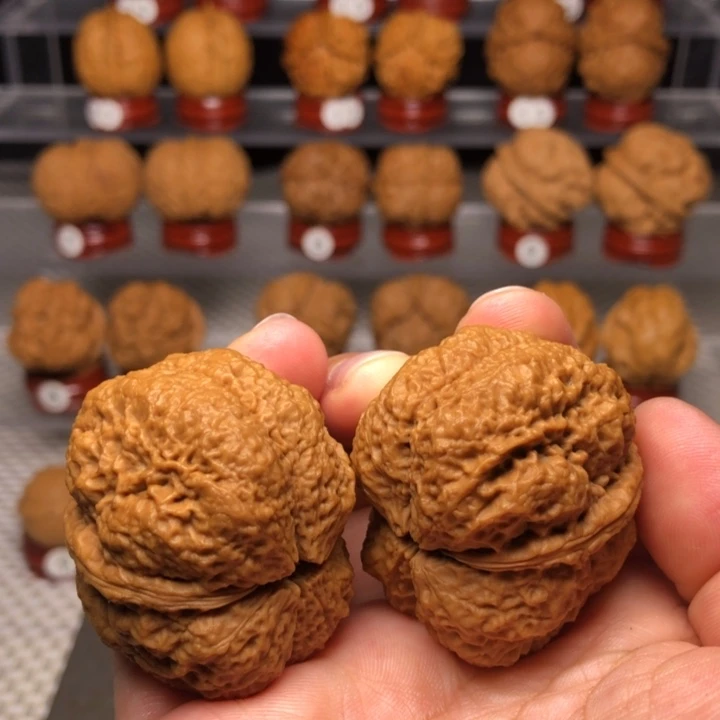 文玩核桃把件74古树蚂蚁开背王