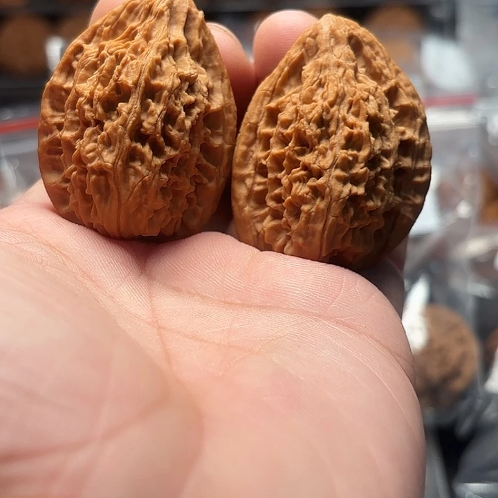 文玩核桃蚂蚁鸭嘴兽36-525