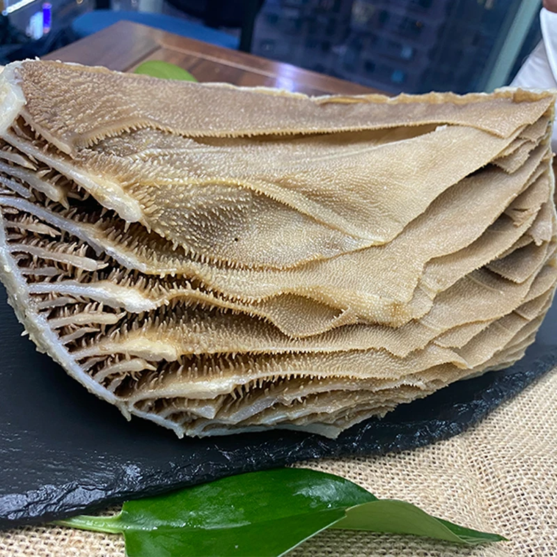 （整个毛肚）整块毛肚 新鲜爽口涮火锅冒菜凉拌 固形物含量95%以上