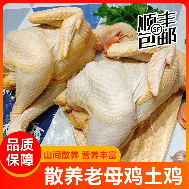 顺丰】2只正宗老母鸡活杀新鲜土鸡农家散养柴鸡走地鸡草鸡笨鸡整只