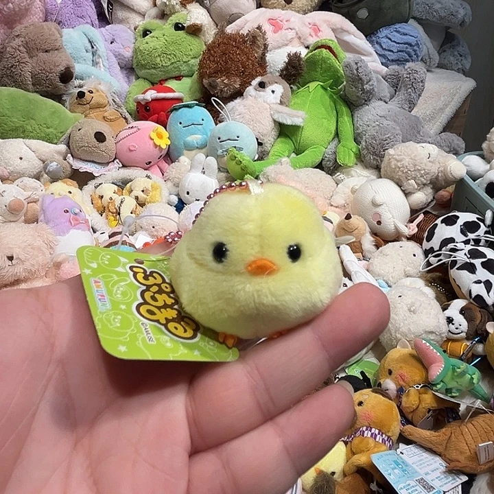 毛绒挂件豆袋哈哈哈哈哈哈