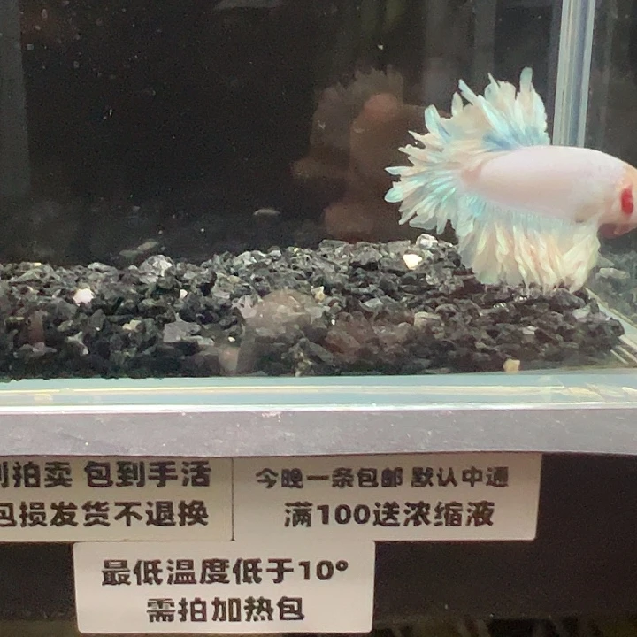 斗鱼跑单拉黑4日74