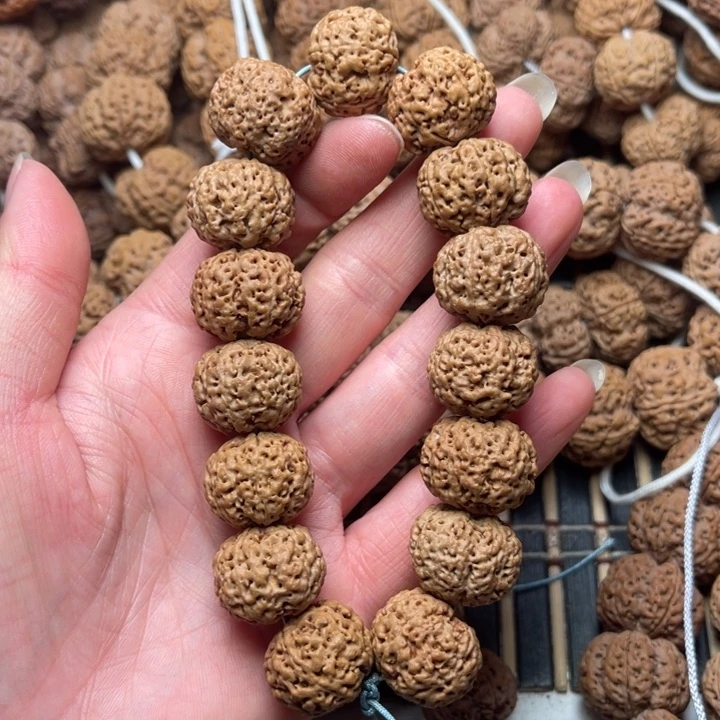 菩提尼泊尔大金刚五星蜂王20