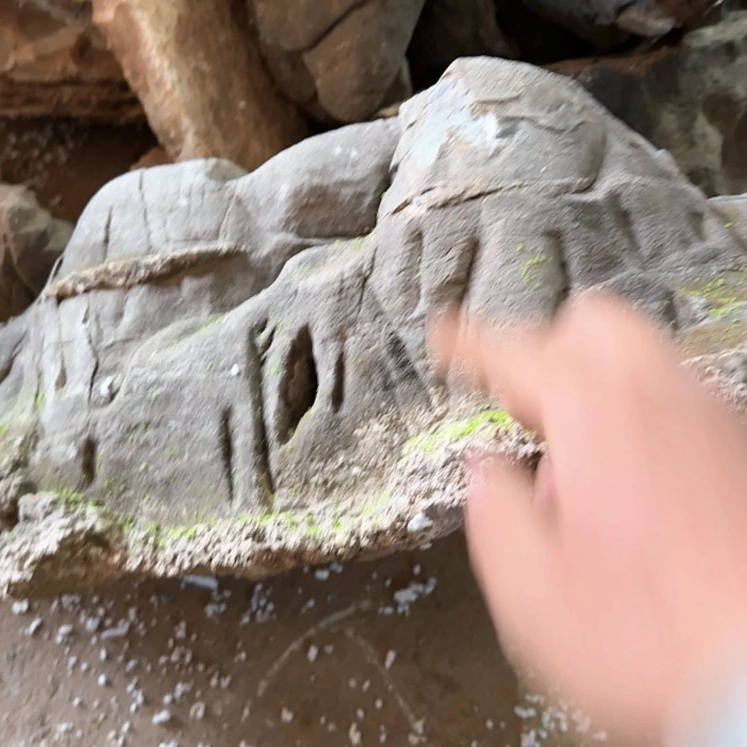 【闪购商品】香榧木巍*了然有种不喜欢你说