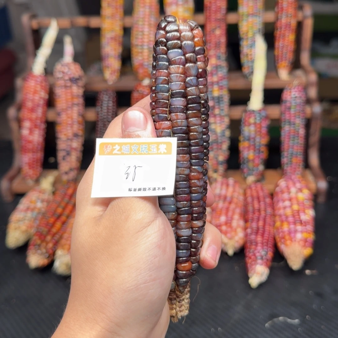 南***意大叶紫檀（黑酸枝木类）