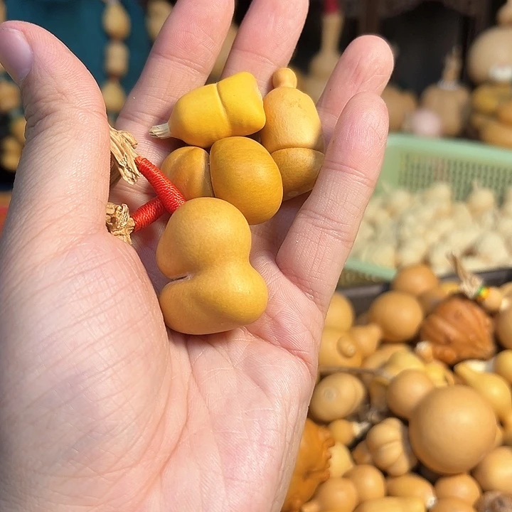 巨****砂葫芦葫芦葫芦海吉拉葫芦