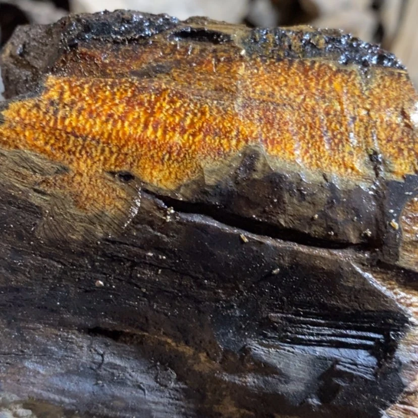 【闪购商品】手串贡木雁**寒私人订制