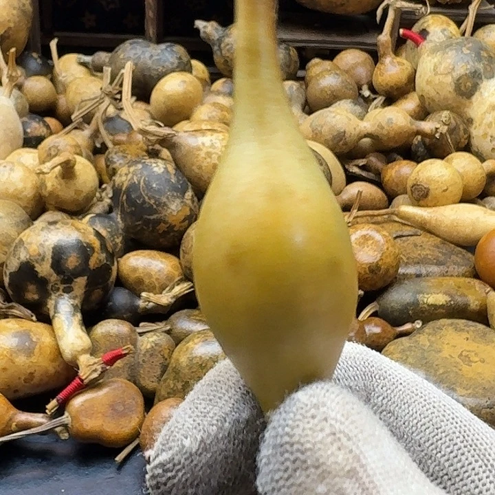 来****哈哈哈哈哈哈哈哈哈哈哈哈哈哈哈哈