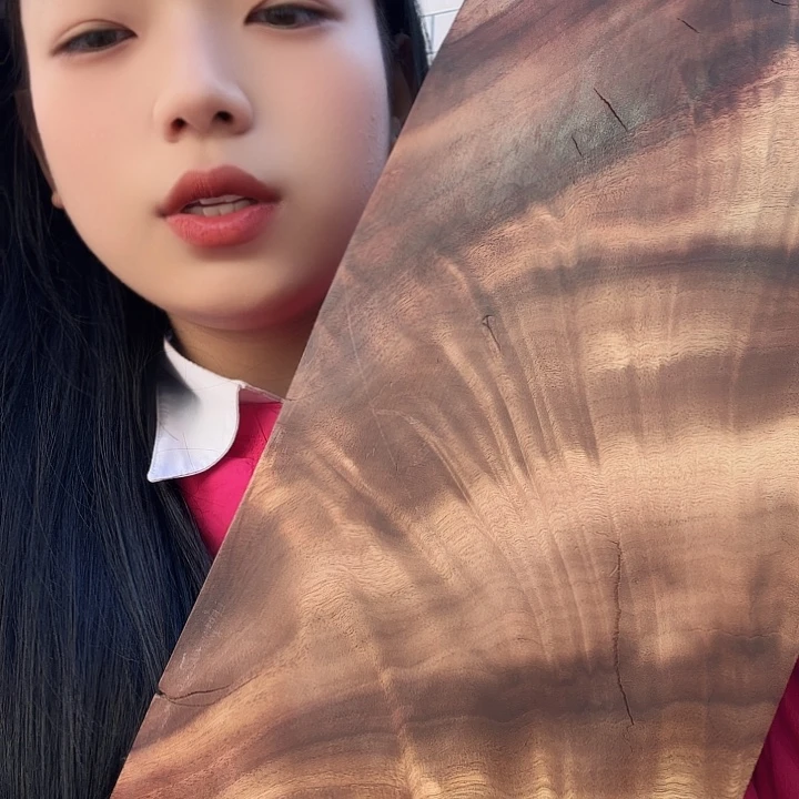 大叶紫檀（黑酸枝木类）