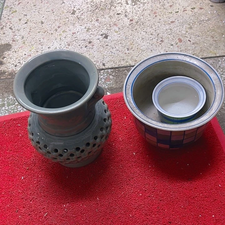 红陶李**A。。。。。。。。。。。