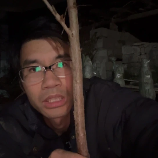 当前无花栽培后可以开花灵珠