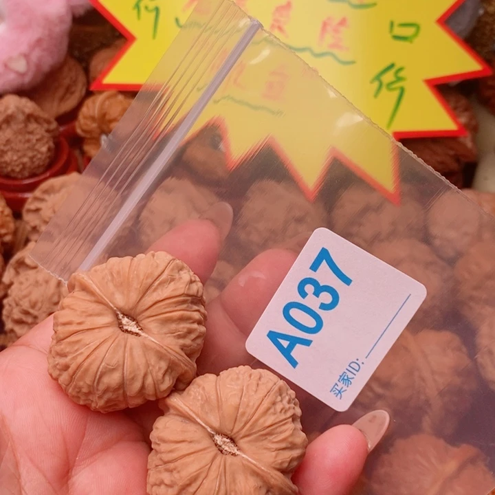南瓜38尺037号123