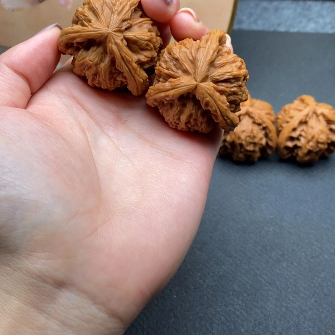 灵**8白狮子1111111111