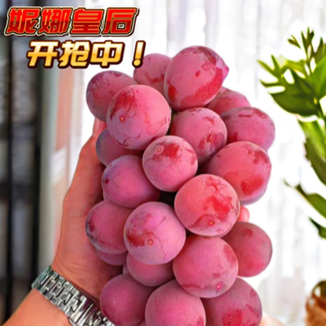 妮娜皇后葡萄【单果13g+】红宝石当季水果礼盒送礼佳品顺丰包邮