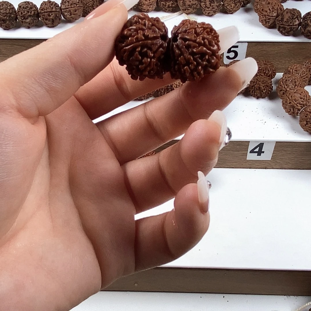 Y****金刚菩提手串原生态双胞胎