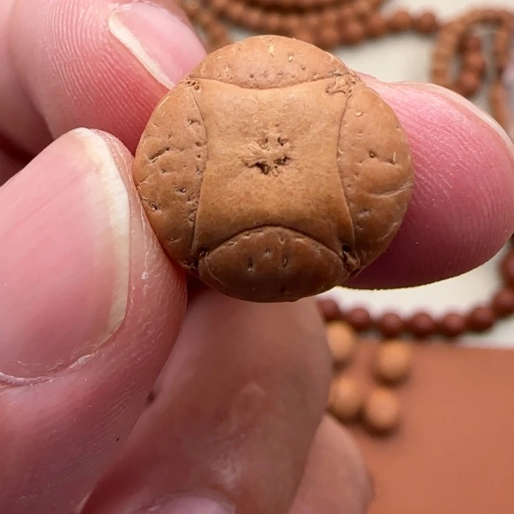 凤眼菩提吊坠尼泊尔16