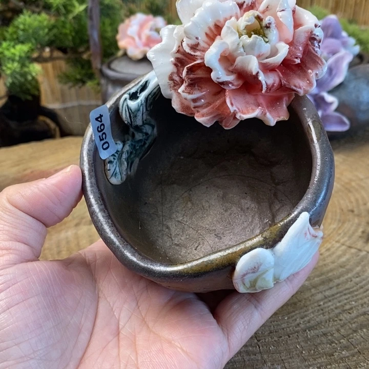 特价的小号可加我哦哈哦