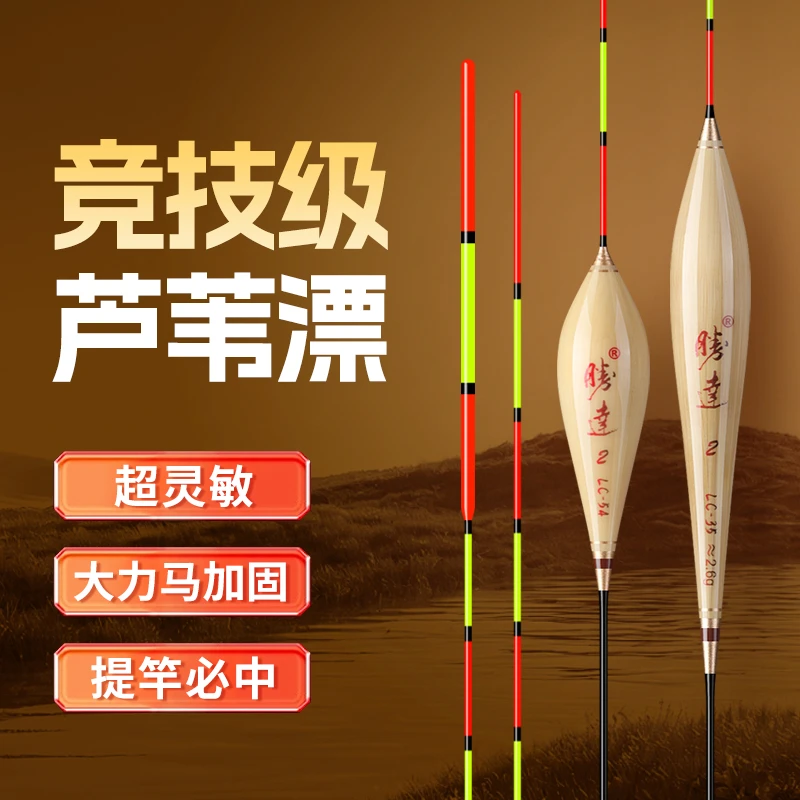 胜达LC竞技带壳芦苇浮漂高灵敏超醒目行程黑坑鲫鱼鲤鱼综合鱼漂