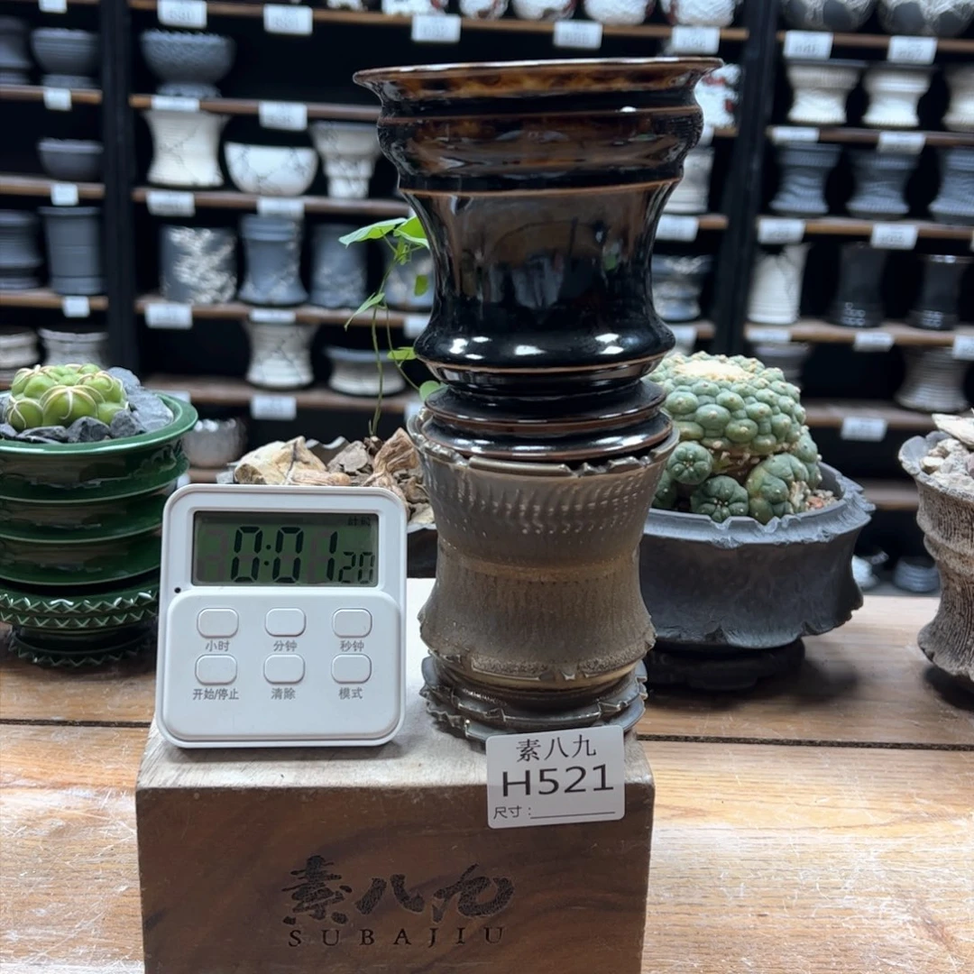 素八九陶瓷内两个黑**黑