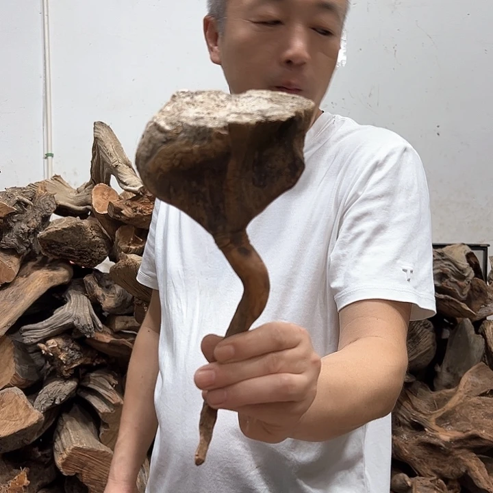 柏木柏*缘我们的生活是以自己为中心而