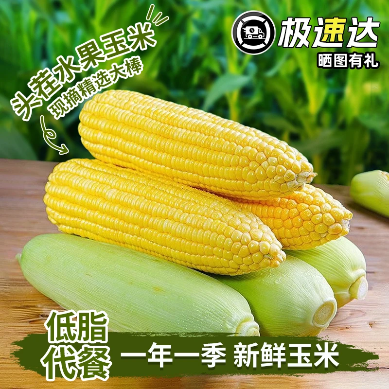 云南新鲜甜脆水果玉米新鲜发货