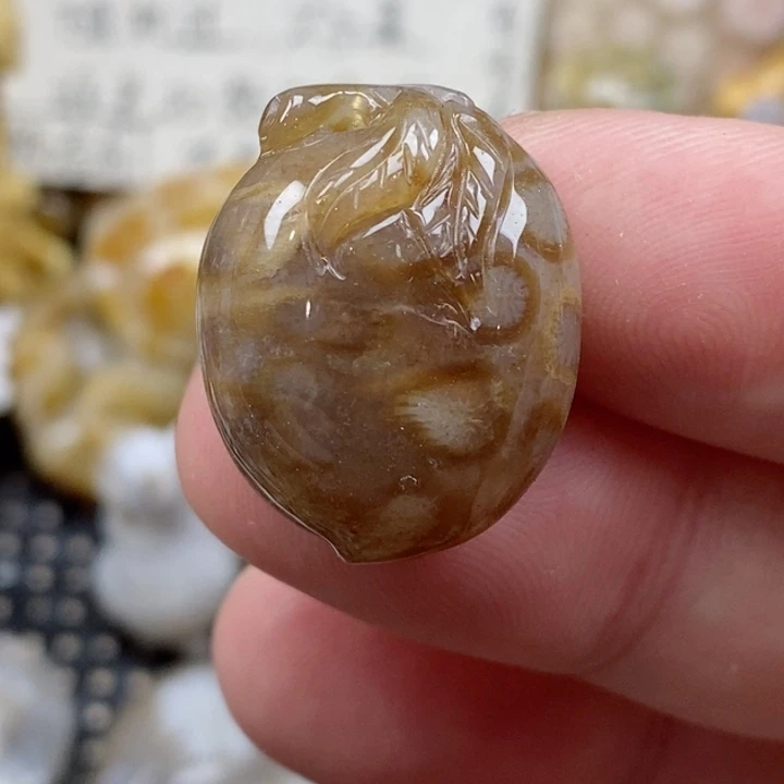 颈饰未镶嵌硅化珊瑚（珊瑚玉）小