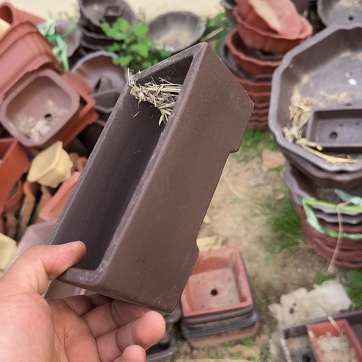 我的朋友在哪里我想我可以