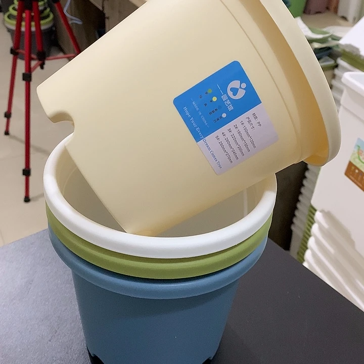 四季口18高15米黄5个