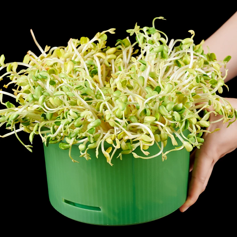 豆芽发芽罐阳台种菜专用黄豆绿豆芽发芽盆水培蔬菜无土栽培育苗盘