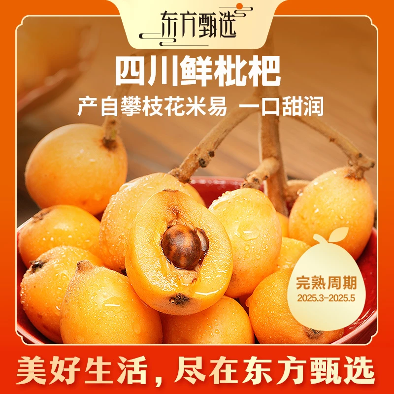 东方甄选自营四川枇杷2斤装 春季时令新鲜水果多汁坏果包赔清凉