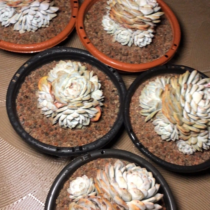 34////////////////////