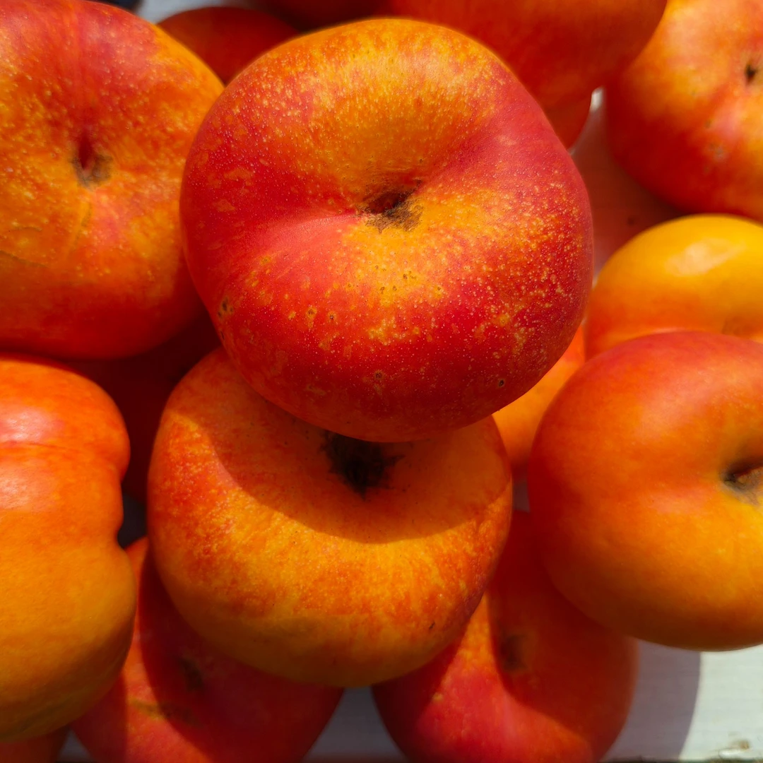 平谷大桃（彩虹盘）北京市