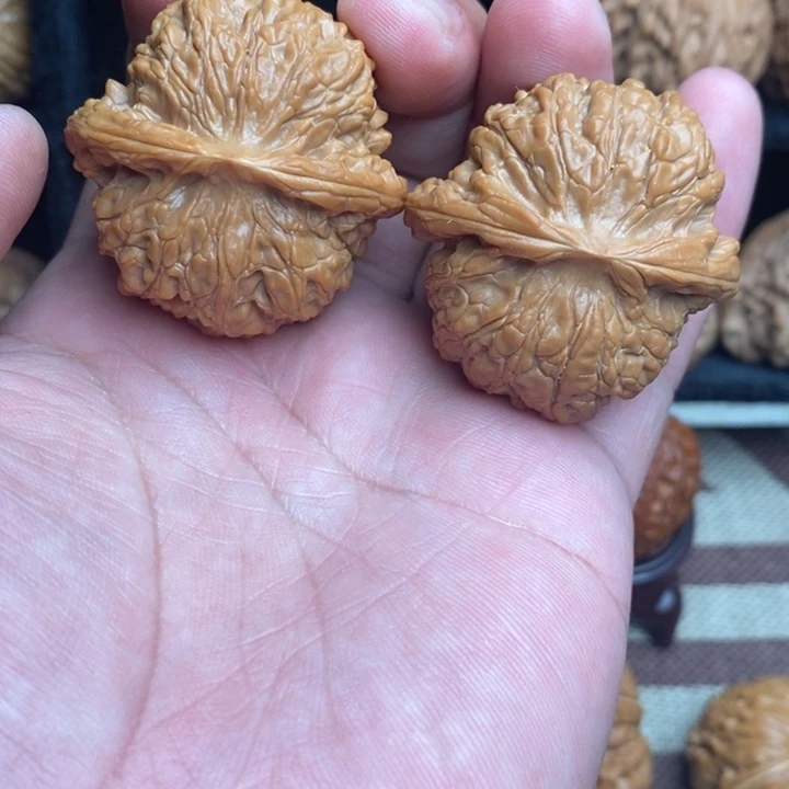 全品血麒麟42尺寸