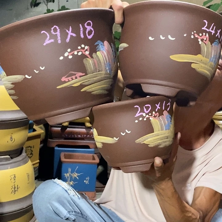 紫砂紫砂紫砂紫砂