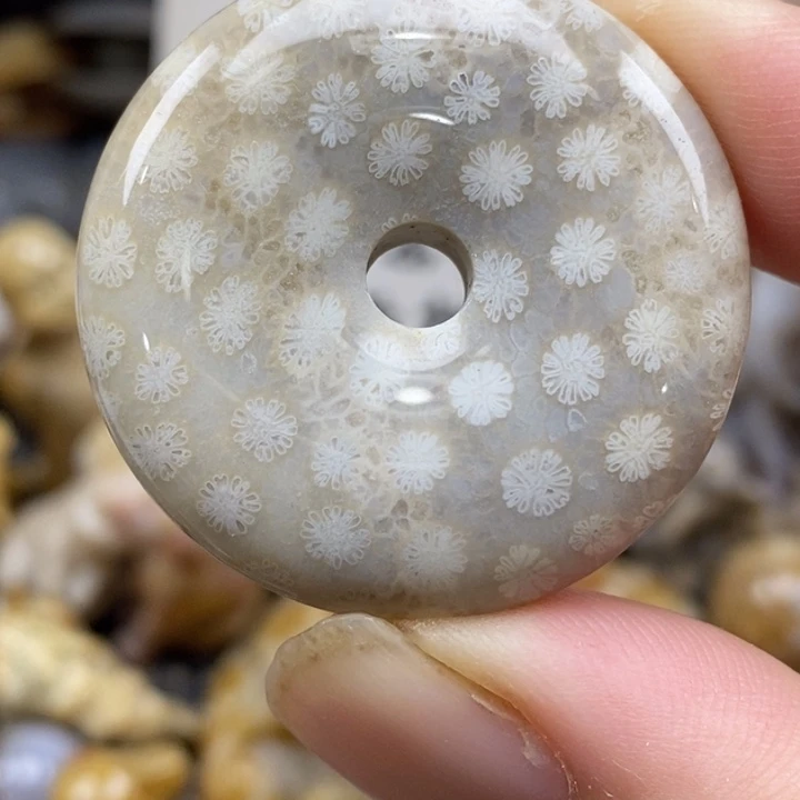 硅化珊瑚（珊瑚玉）未镶嵌颈饰