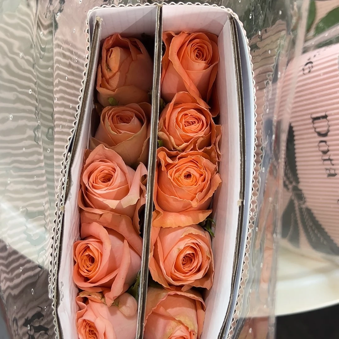 西露斯 心火 10支装 拍满三单包邮