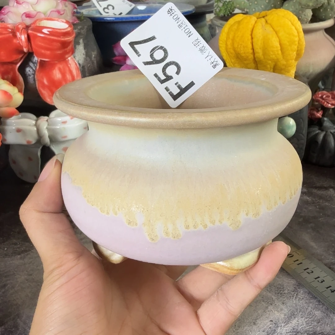 重庆小燕子欢迎大家567