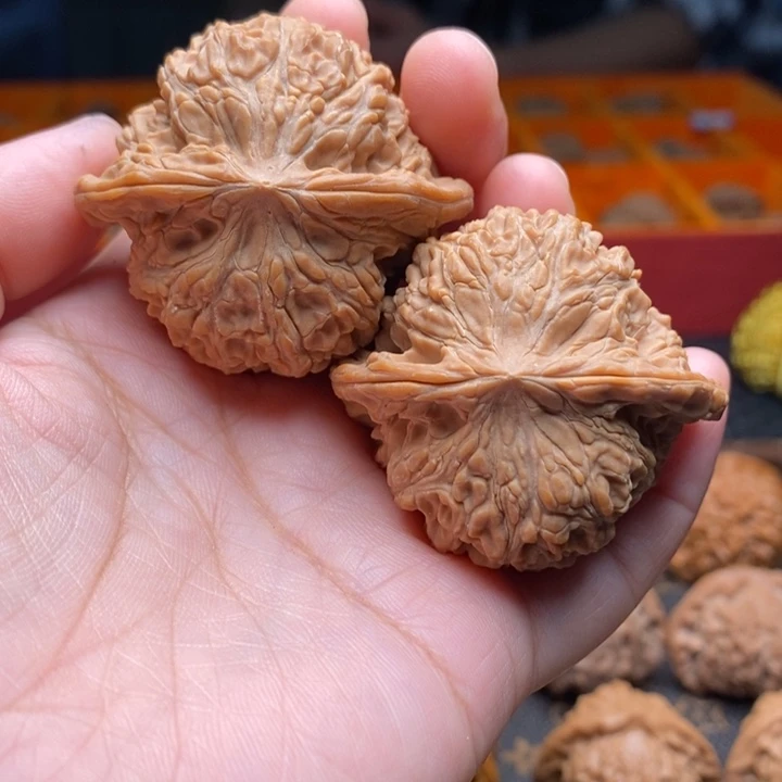 文玩核桃把件龙洞裕44尺